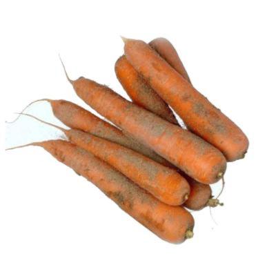 carotte des sable LABEL ROUGE   vendue au kilo ou en 500g
