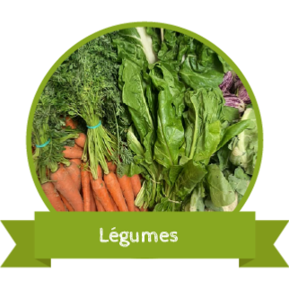 Vente de lgumes de saison chez votre primeur en ligne